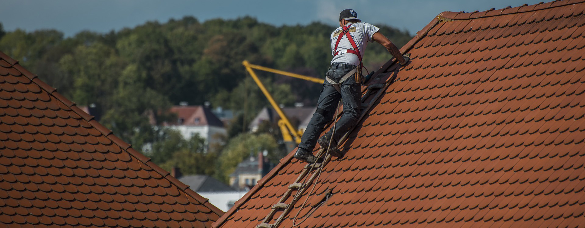 flores-peinture-renovation-slider (1)